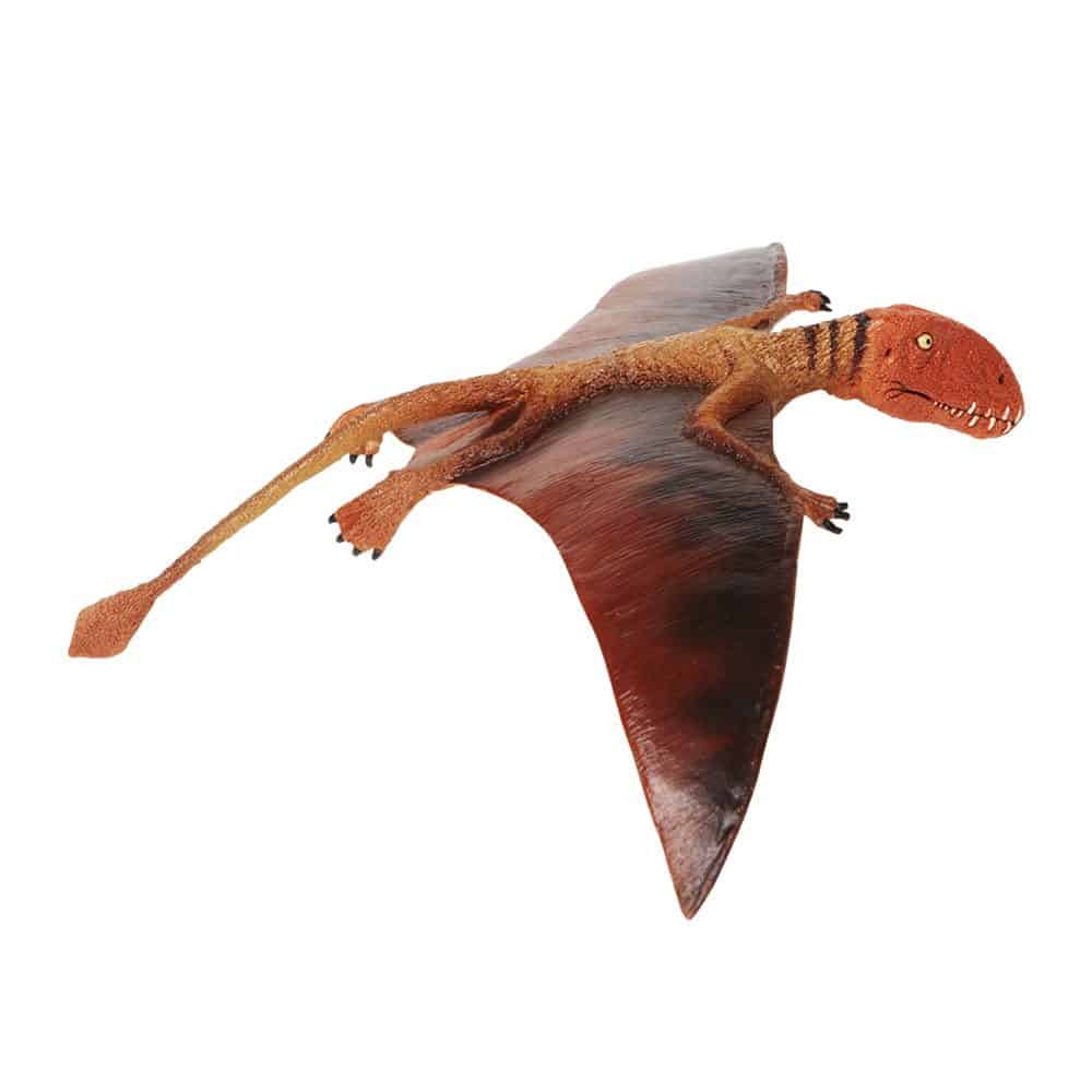 דימורפודון דימורפודון