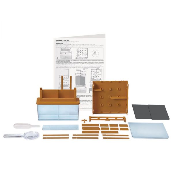 צמיחה במבוך תכולה