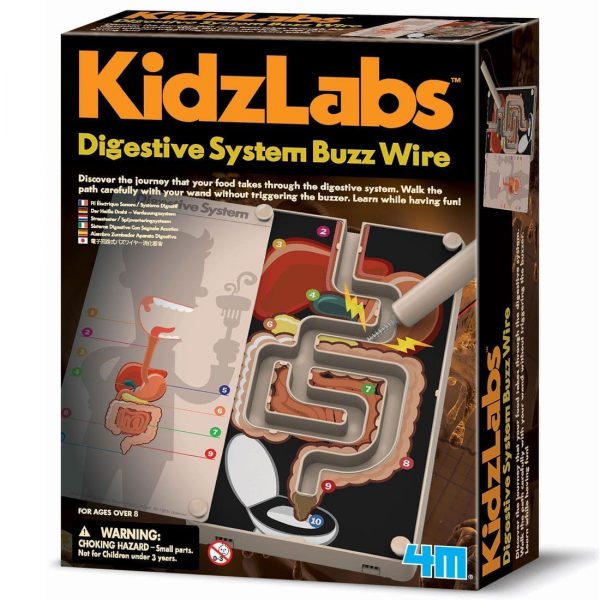 מבוך מערכת העיכול חשמלי