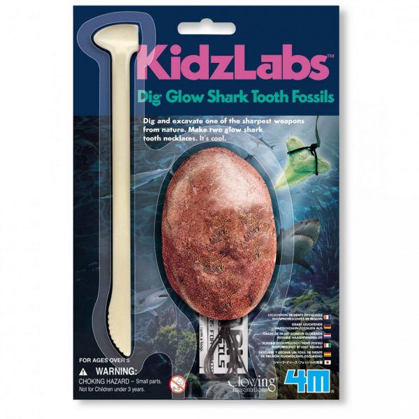 ביצת ארכיאולוג - שן כריש