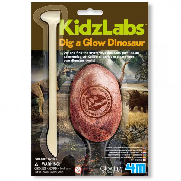 ביצת ארכיאולוג דינוזאור - שישה דגמים