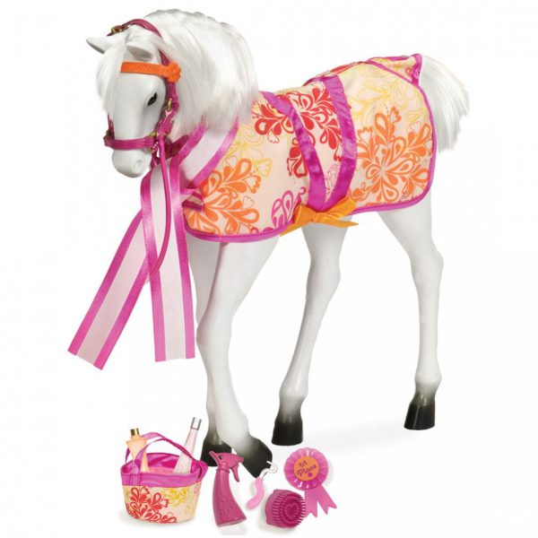 סייח ליפיצן - Lipizzaner Foal