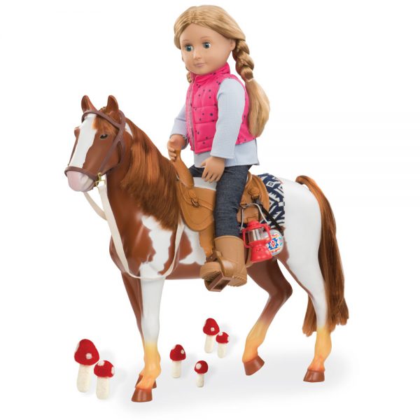 סוס רכיבה - Trail Riding Horse